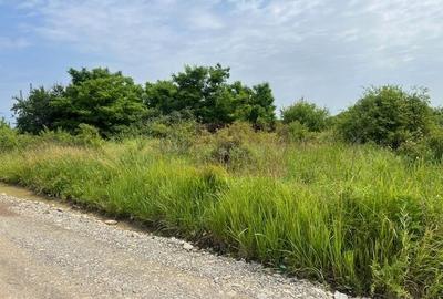 Teren Saftica- strada Albinelor - 3