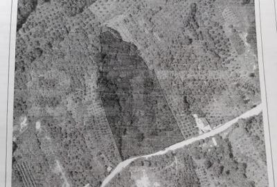 Teren de 14400 mp, în Gemenea-Brătulești - 7