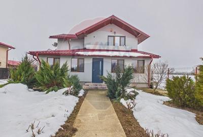 Apartament cu 3 camere decomandat, mobilat în Ulmi - 1