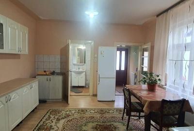 Casă cu 2 camere în Lotrioara - 2
