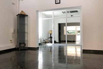 Vila 8 cam. bd. Timisoara stradal-oportunitate comerciala si rezidentiala unica - 4