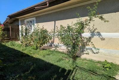 Margineni, casa cu trei camere si 800 mp teren - 3