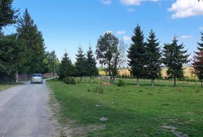 Spațiu comercial, în Beliș - 5