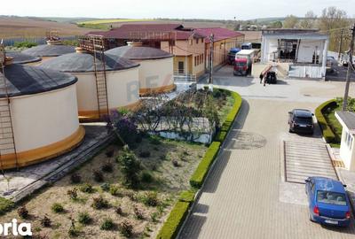 Spațiu comercial, de 2,800 mp, în Buciumeni - 9