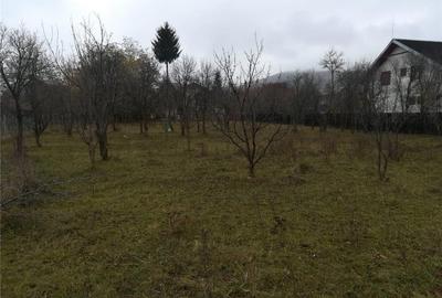 Teren de 1919 mp, în Cornu - 2