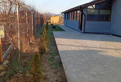 Casă cu Teren 1800 Mp în Băbeni - 6