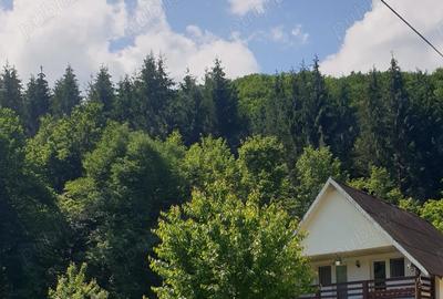 Casa de vacan?a de vanzare - 8