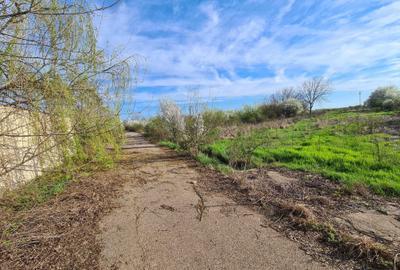 Teren de 1214 mp, în Cornetu - 5