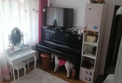 Apartament cu 2 camere semidecomandat în Tătărași - 7