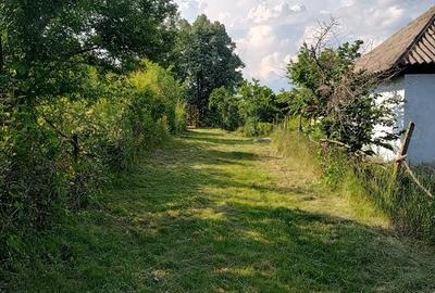 Casă cu 3 camere cu Teren 1400 Mp în Schitu Scoicești - 1