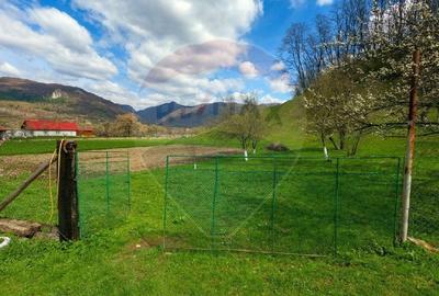 Teren partial intravilan 2,984mp Baru ,jud.Hunedoara - 2