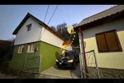 Proprietar vand Casa Sasca Montana