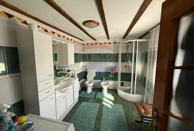 Casa Pielesti Teren 1624 mp - 5