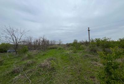 Spațiu comercial, în Cârcea - 1