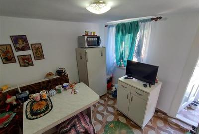 Casă individuală cu 7 camere cu Canalizare în Vest - 23