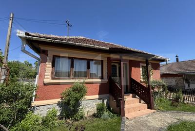 Casa plan parter cu 4 camere, 160 mp si 13000 mp teren, zona - 3