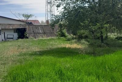 Delta Dunarii Crisan, TL - 1600 mp deschidere 33 m la Brațul Sulina ( Dunăre) - 6