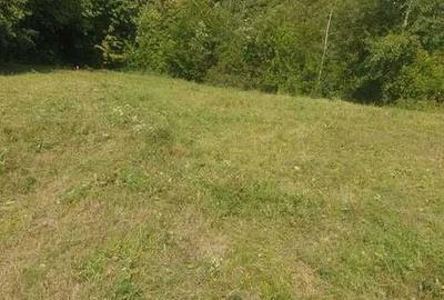 Teren de 2000 mp, în Seciu