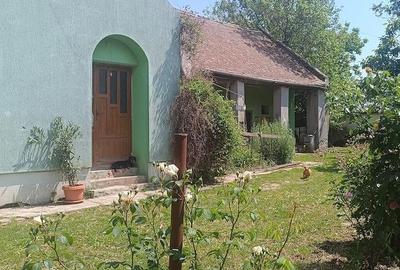 Casă cu 3 camere cu Teren 2000 Mp în Giulvăz - 4