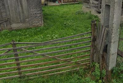 Casa cu teren 800 mp - 1