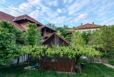 Casă cu 5 camere cu Teren 40000 Mp în Șard - 11