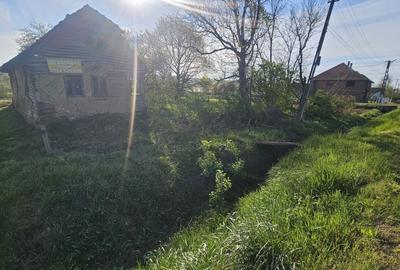 Teren de 8780 mp, în Vărădia de Mureș - 8