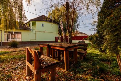 Casă individuală cu 9 camere cu Teren 3763 Mp în Peciu Nou - 2