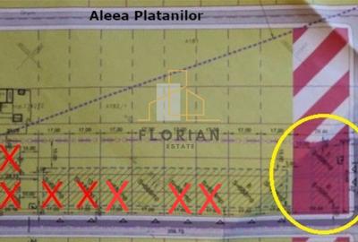 Teren Construcții intravilan de 596 mp, în Giarmata-Vii