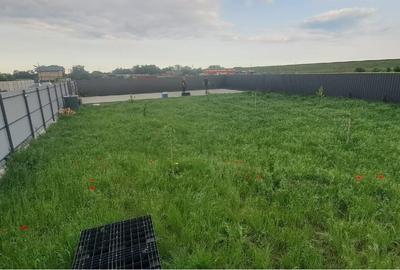 Teren Construcții intravilan de 539 mp, în Cornetu - 5