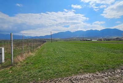 Teren Construcții intravilan de 2396 mp, în Zărnești - 2