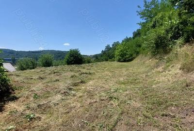 Teren de 1500 mp, în Marginea - 4