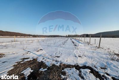 Teren de 4300 mp, în Sânpetru - 3
