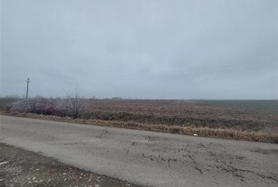 Ocazie!!! Teren pentru hala sau parcare, zona Hanul de la Rascruce! - 3