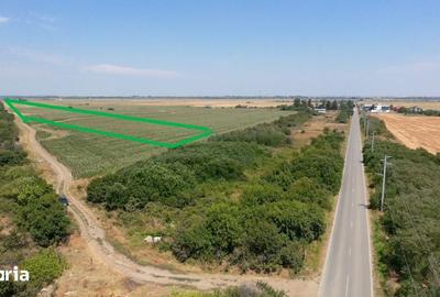 Teren de 5200 mp, în Clinceni - 1