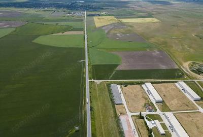 Teren Intravilan Investi?ii 11.600 mp Salonta - 11