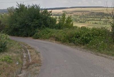 Casă cu mult teren,  sat Șerbănești, com. Corbița, jud. Vrancea - 11