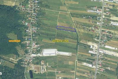 Spațiu comercial, în Mărăcineni - 1