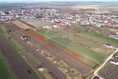 Teren Vanatori Strada Crizantemelor
