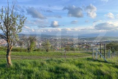 Teren extravilan, 1354 mp, Colonia Breaza - 2