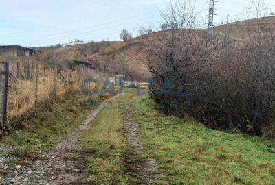 Teren Construcții extravilan de 2400 mp, în Săvădisla - 8