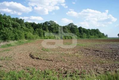 Teren în Periș - 2