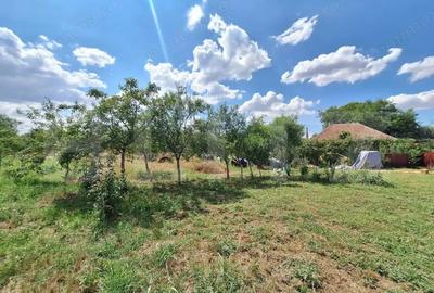 Casă cu 3 camere cu Teren 4600 Mp în Plopi - 3