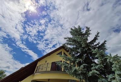 Teren Construcții intravilan de 30000 mp, în Exterior Est - 3