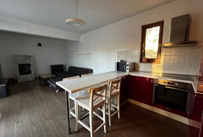 Padure Snagov-Ciofliceni, vila pretabila 2 familii - 1