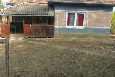Casă cu 3 camere în Pogăceaua - 3