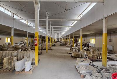 Spațiu industrial, de 3,000 mp, în Est - 36