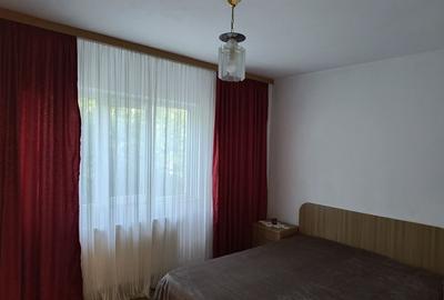 Apartament cu 2 camere semidecomandat în Enachiță Văcărescu - 3