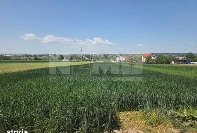 Teren de 2600 mp, în Mitocu Dragomirnei - 6