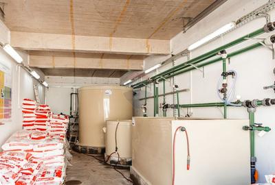 DE VANZARE una dintre cele mai moderne plantatii de afin din Romania - 13