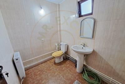 Spatiu Comercial Stradal - Spitalul Mioveni, Bd. Dacia, Racovita - 10